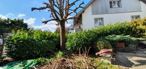 Gartenpflege Winterthur - Impressionen unserer Arbeit